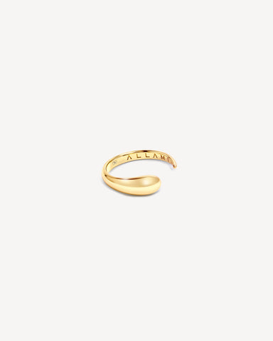 Ezil Ring